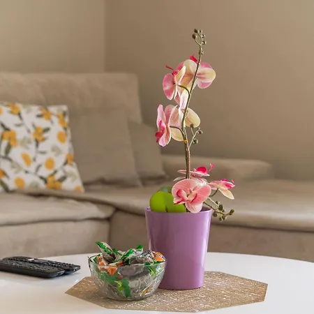 Willa Petmat - With Private Pool And 6 Bedrooms *