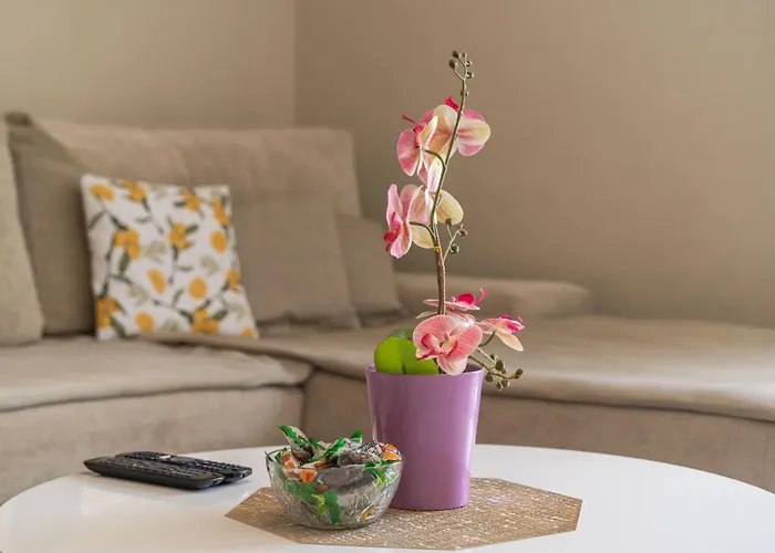 Villa Petmat - With Private Pool And 6 Bedrooms *